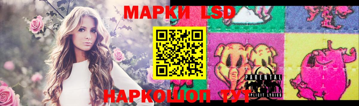 Лсд 25 экстази ecstasy  Вход с VPN  Сегежа  Лсд 25 экстази кислота 