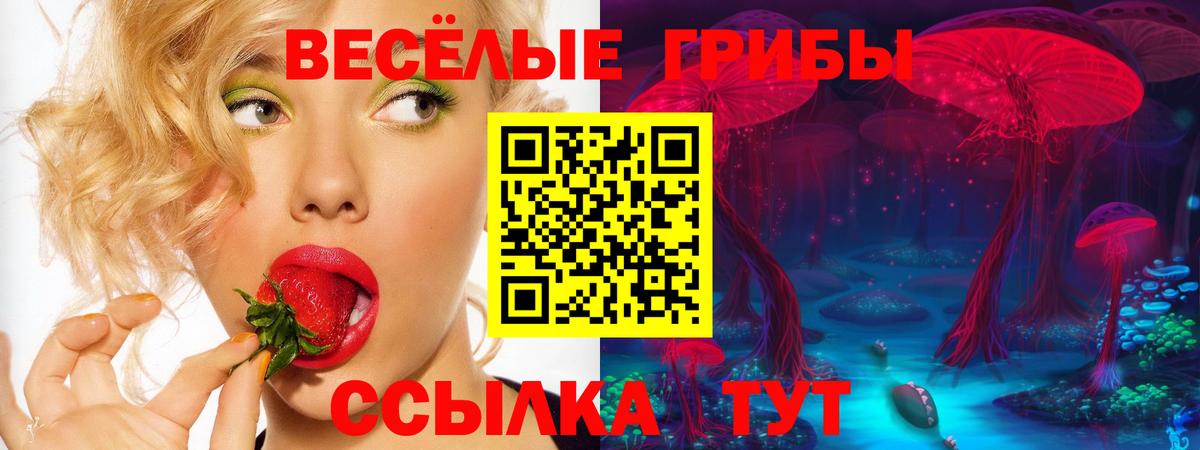 Галлюциногенные грибы мицелий  Псилоцибиновые грибы Psilocybine cubensis  Сегежа  Вход с VPN 